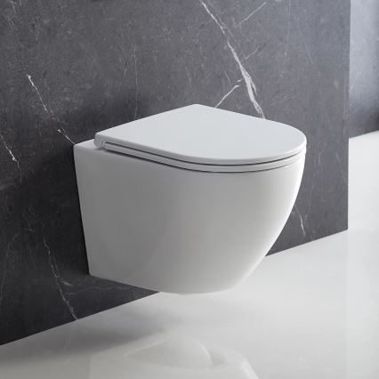 OMNIRES OTTAWADEBP - Toilet seat SoftClose OTTAWA duroplast/shiny white