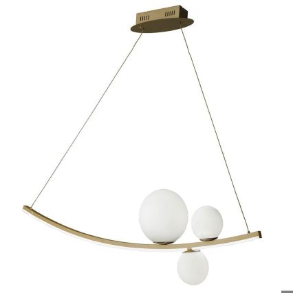 Ondaluce - LED Dimmable cable pendant ALTALENA LED/48W/230V gold