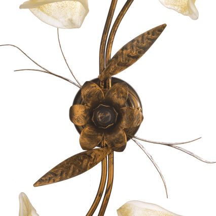 ONLI - Ceiling light ALGA 4xE14/6W/230V bronze