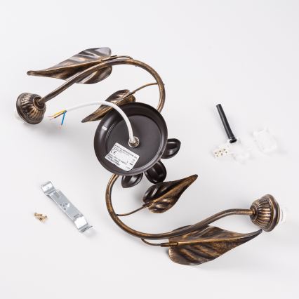 ONLI - Ceiling light MIRANDA 2xE14/6W/230V