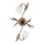 ONLI - Ceiling light SONIA 2xE14/6W/230V