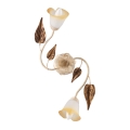 ONLI - Ceiling light VANDA 2xE14/6W/230V