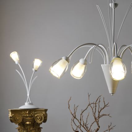 ONLI - Chandelier on a chain ANTEA 5xE14/6W/230V