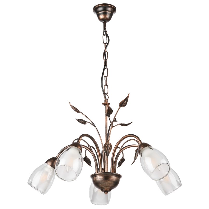 ONLI - Chandelier on a chain LILIANA 5xE14/6W/230V