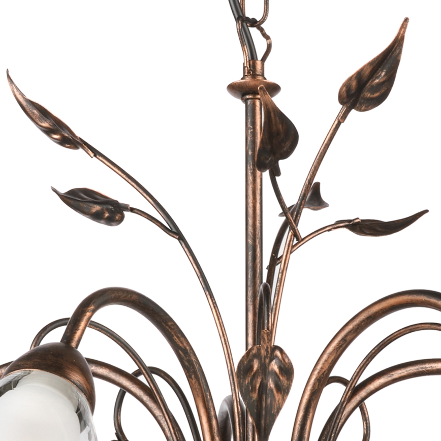 ONLI - Chandelier on a chain LILIANA 5xE14/6W/230V