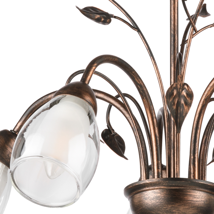 ONLI - Chandelier on a chain LILIANA 5xE14/6W/230V