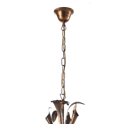 ONLI - Chandelier on a chain LUCREZIA 5xE14/6W/230V bronze