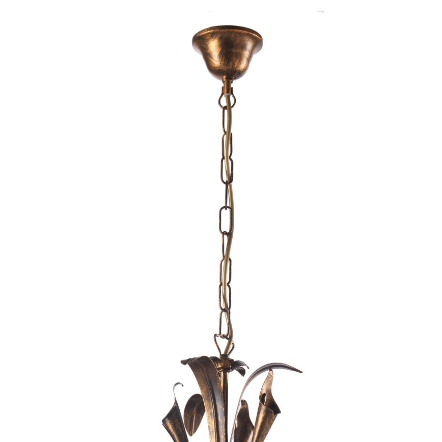 ONLI - Chandelier on a chain LUCREZIA 5xE14/6W/230V bronze