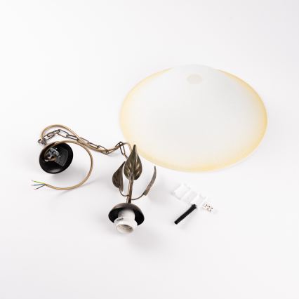 ONLI - Chandelier on a chain MIRA 1xE27/22W/230V d. 40 cm