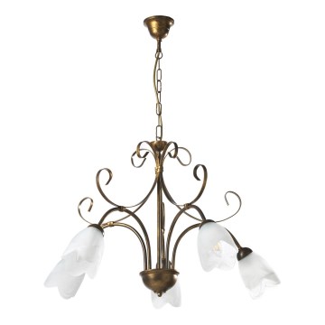 ONLI - Chandelier on a chain ODINO 5xE14/6W/230V
