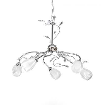 ONLI - Chandelier on a chain SHARON 5xE14/6W/230V