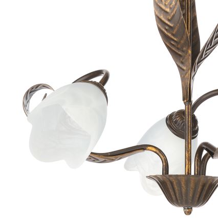 ONLI - Chandelier on a chain SONIA 3xE14/6W/230V
