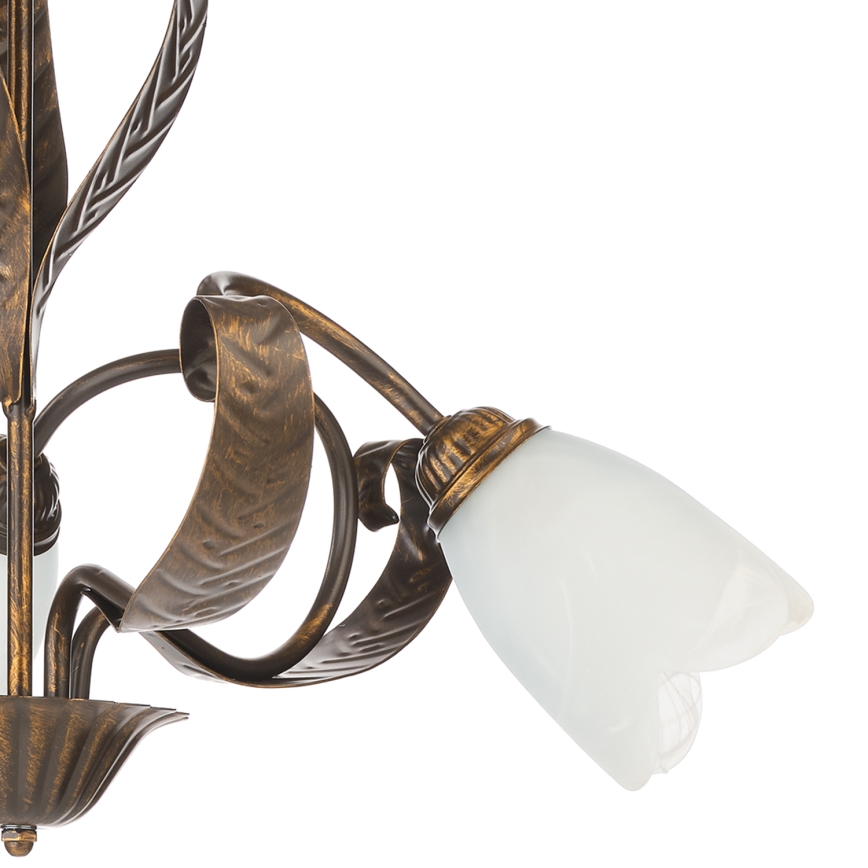 ONLI - Chandelier on a chain SONIA 3xE14/6W/230V