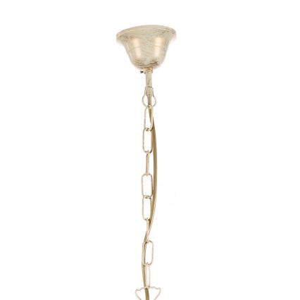 ONLI - Chandelier on a chain VANDA 5xE14/6W/230V