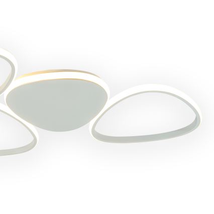 ONLI - LED Ceiling light ROMEO LED/48W/230V 4000K white