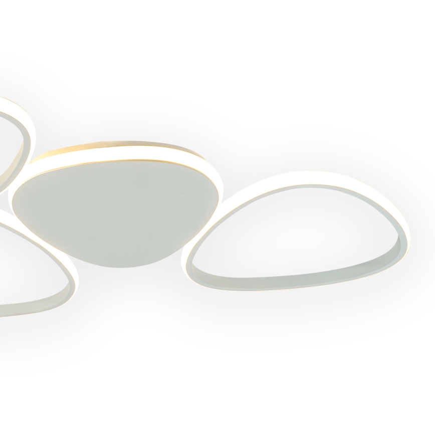 ONLI - LED Ceiling light ROMEO LED/48W/230V 4000K white