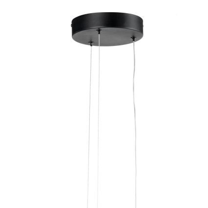ONLI - LED Chandelier on a string DAFNE LED/30W/230W 4000K black