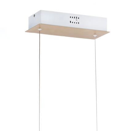 ONLI - LED Chandelier on a string NILO LED/70W/230V 4000K brown/white