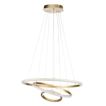 ONLI - NOELIA LED Cable Pendant Lamp LED/40W/230V Gold