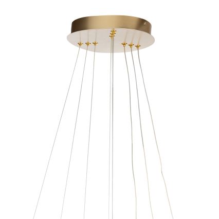 ONLI - NOELIA LED Cable Pendant Lamp LED/40W/230V Gold