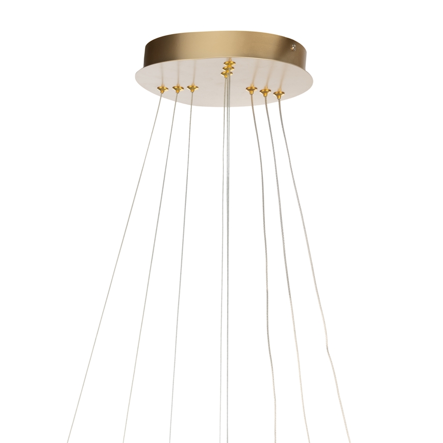 ONLI - NOELIA LED Cable Pendant Lamp LED/40W/230V Gold