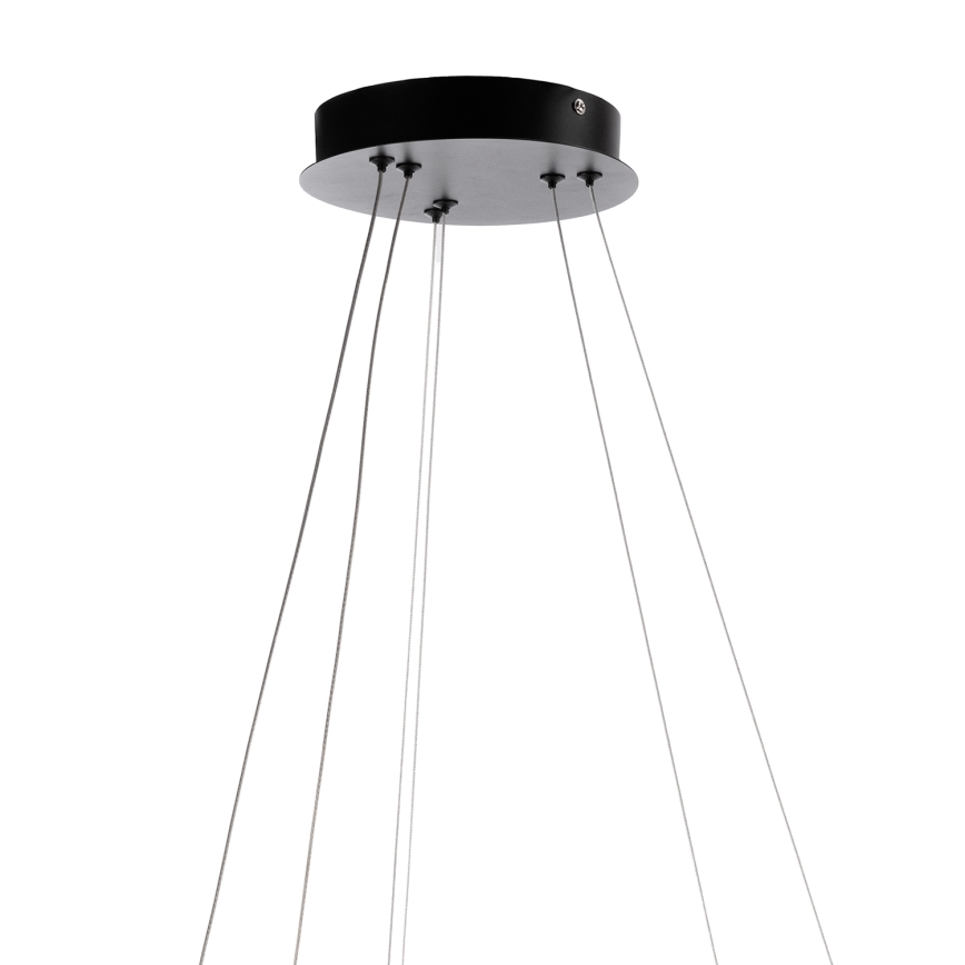 ONLI - NOELIA LED Cable Pendant Light, 30W, 230V, Black