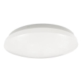 OPAL LED Bathroom Ceiling Light, 12W/230V, Ø 24.5 cm, IP44, White