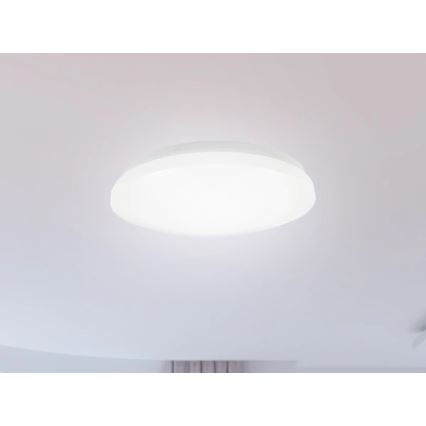 OPAL LED Bathroom Ceiling Light, 12W/230V, Ø 24.5 cm, IP44, White