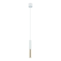 Open Design OR80841 - SLIMI cable-suspended pendant 1xG9/3.5W/230V white/gold