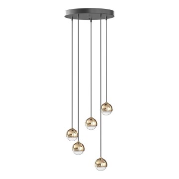 Open Design OR85518 - BOLICINA LED cable pendant 5xLED/5W/230V gold/black