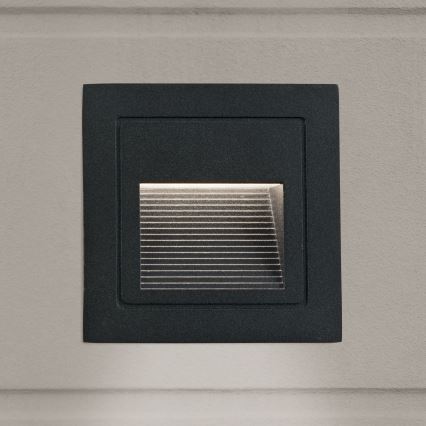 LED Built-in light LORO LED/2W/230V IP65 black