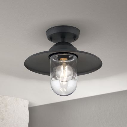 Outdoor surface-mounted chandelier EDWARD 1xE27/60W/230V IP44 black