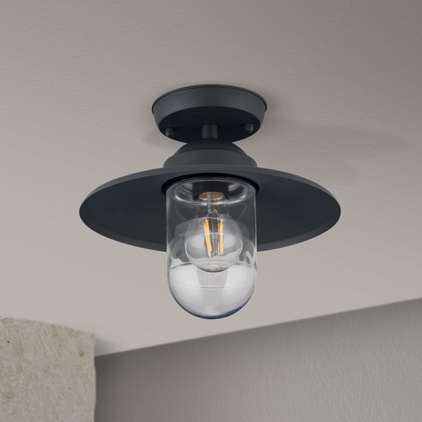 Outdoor surface-mounted chandelier EDWARD 1xE27/60W/230V IP44 black
