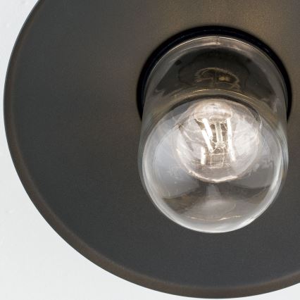 Outdoor surface-mounted chandelier EDWARD 1xE27/60W/230V IP44 black