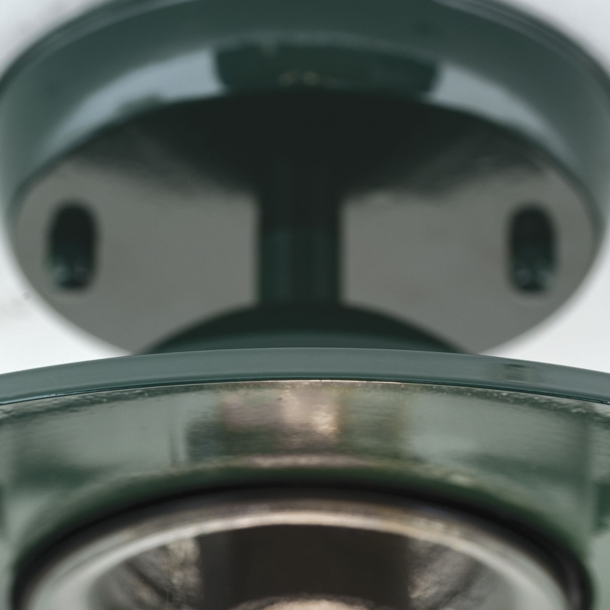 Outdoor surface-mounted chandelier EDWARD 1xE27/60W/230V IP44 green