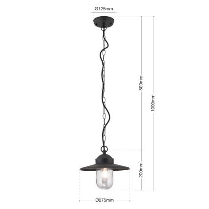 Outdoor pendant light EDWARD 1xE27/60W/230V IP44 black