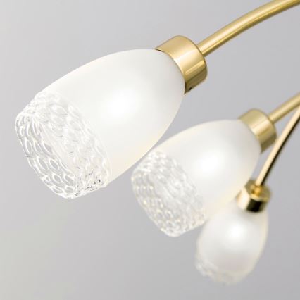 CARLA Rod-Mounted Chandelier 8xG9/28W/230V Gold