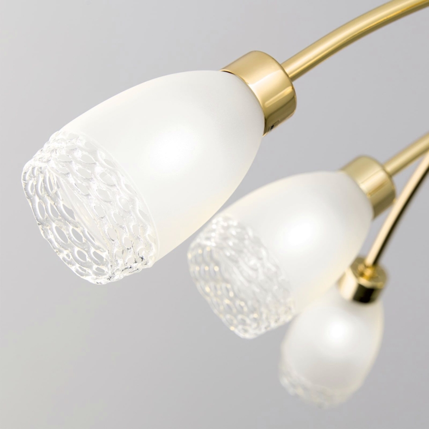 CARLA Rod-Mounted Chandelier 8xG9/28W/230V Gold