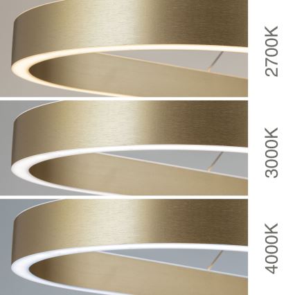 CARRARA Cable-Suspended LED Chandelier LED/80W/230V 2700/3000/4000K Gold