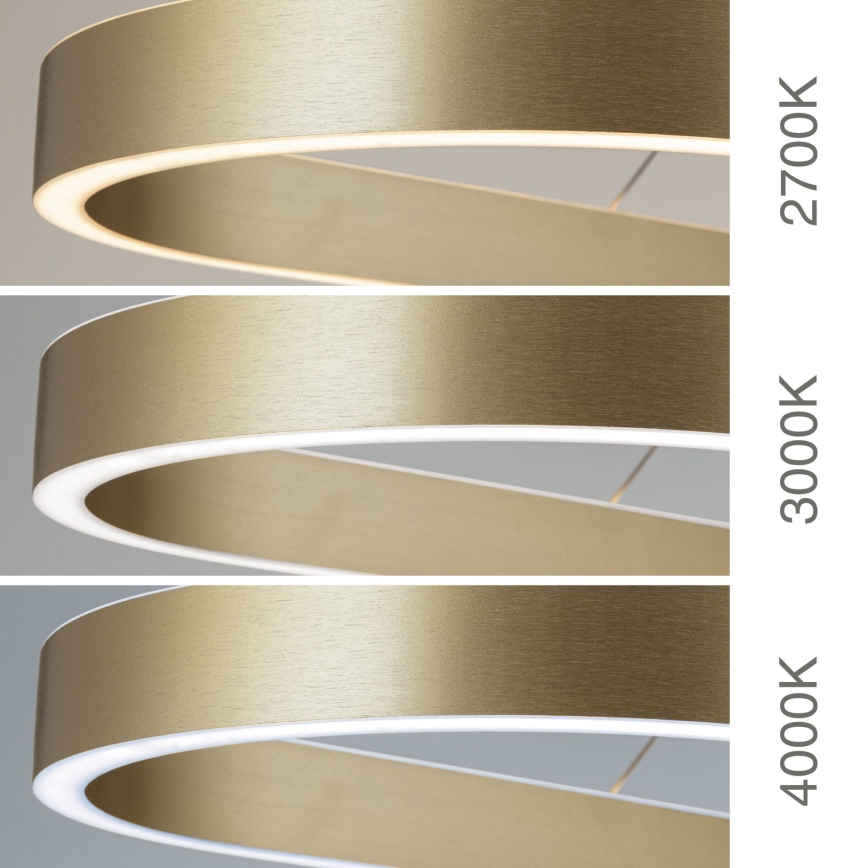 CARRARA Cable-Suspended LED Chandelier LED/80W/230V 2700/3000/4000K Gold