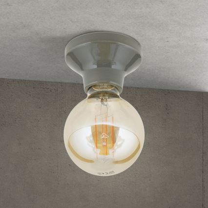 FROST Ceiling Light 1xE27/60W/230V gray