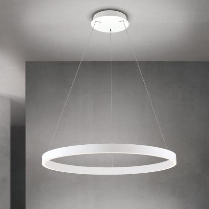 Dimmable LED cable-suspended pendant light KOLK LED/80W/230V 2700/3000/4000K Ø 80 cm white