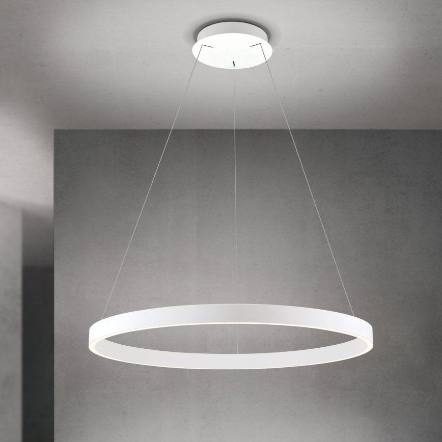 Dimmable LED cable-suspended pendant light KOLK LED/80W/230V 2700/3000/4000K Ø 80 cm white
