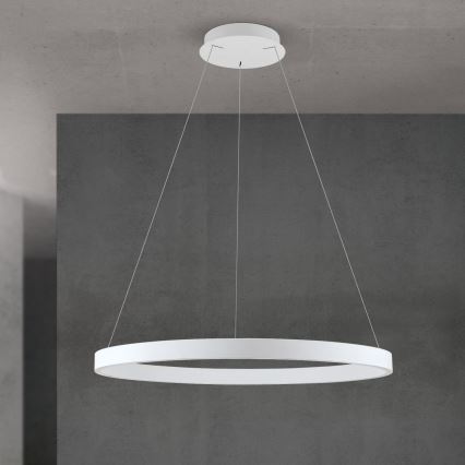 Dimmable LED cable-suspended pendant light KOLK LED/80W/230V 2700/3000/4000K Ø 80 cm white