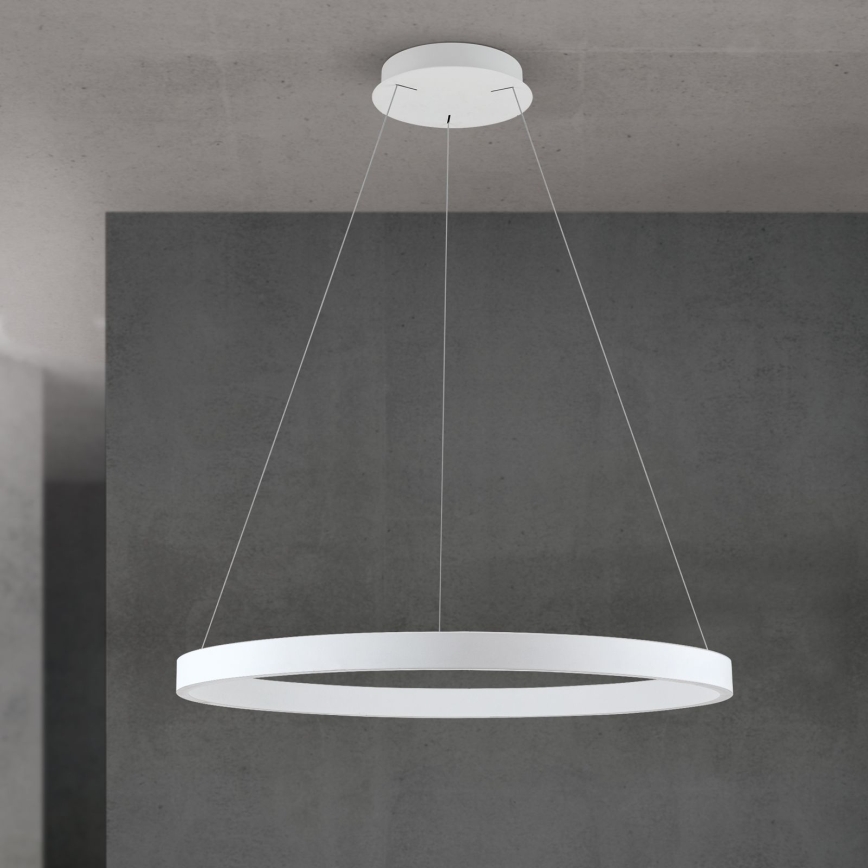 Dimmable LED cable-suspended pendant light KOLK LED/80W/230V 2700/3000/4000K Ø 80 cm white