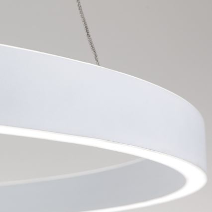 Dimmable LED cable-suspended pendant light KOLK LED/80W/230V 2700/3000/4000K Ø 80 cm white