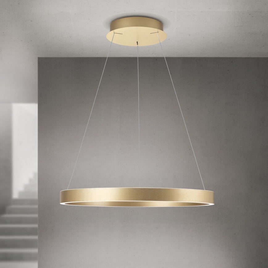 Dimmable LED cable pendant KOLK LED/60W/230V 2700/3000/4000K diam. 60 cm gold