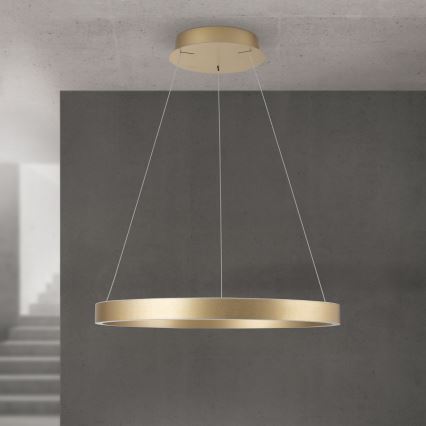 Dimmable LED cable pendant KOLK LED/60W/230V 2700/3000/4000K diam. 60 cm gold