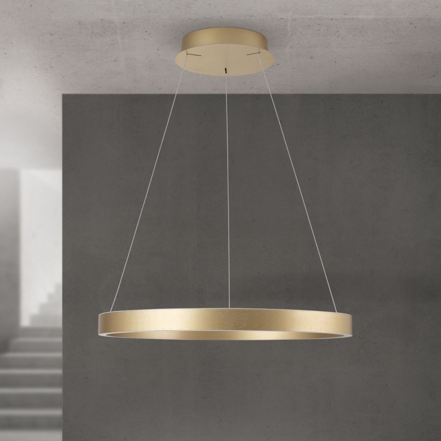 Dimmable LED cable pendant KOLK LED/60W/230V 2700/3000/4000K diam. 60 cm gold