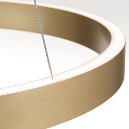 Dimmable LED cable pendant KOLK LED/60W/230V 2700/3000/4000K diam. 60 cm gold